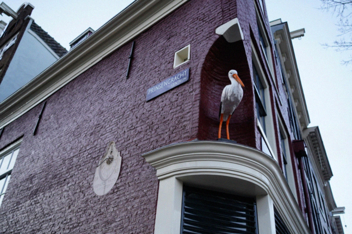Amsterdam canal belt — Prinsengracht at dawn